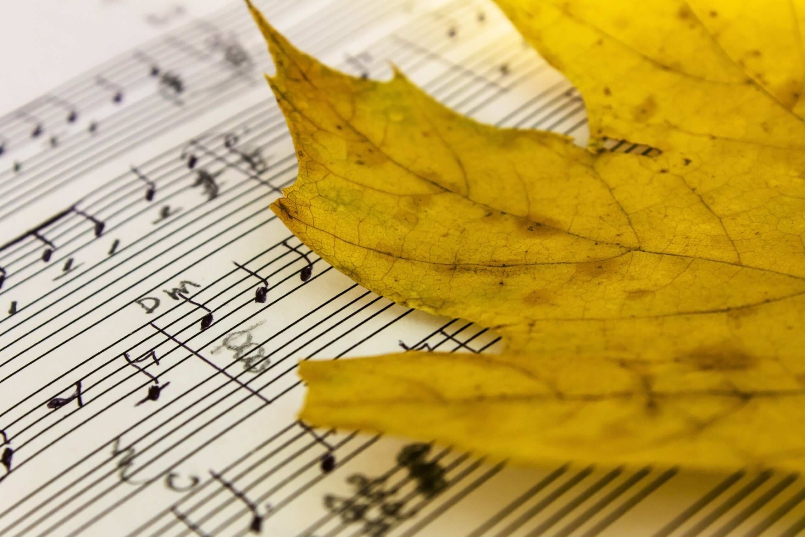 Music Usage Reports: Expanding Awareness and Empowering Ability